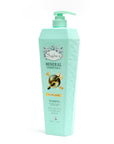 Rebalance Shampoo